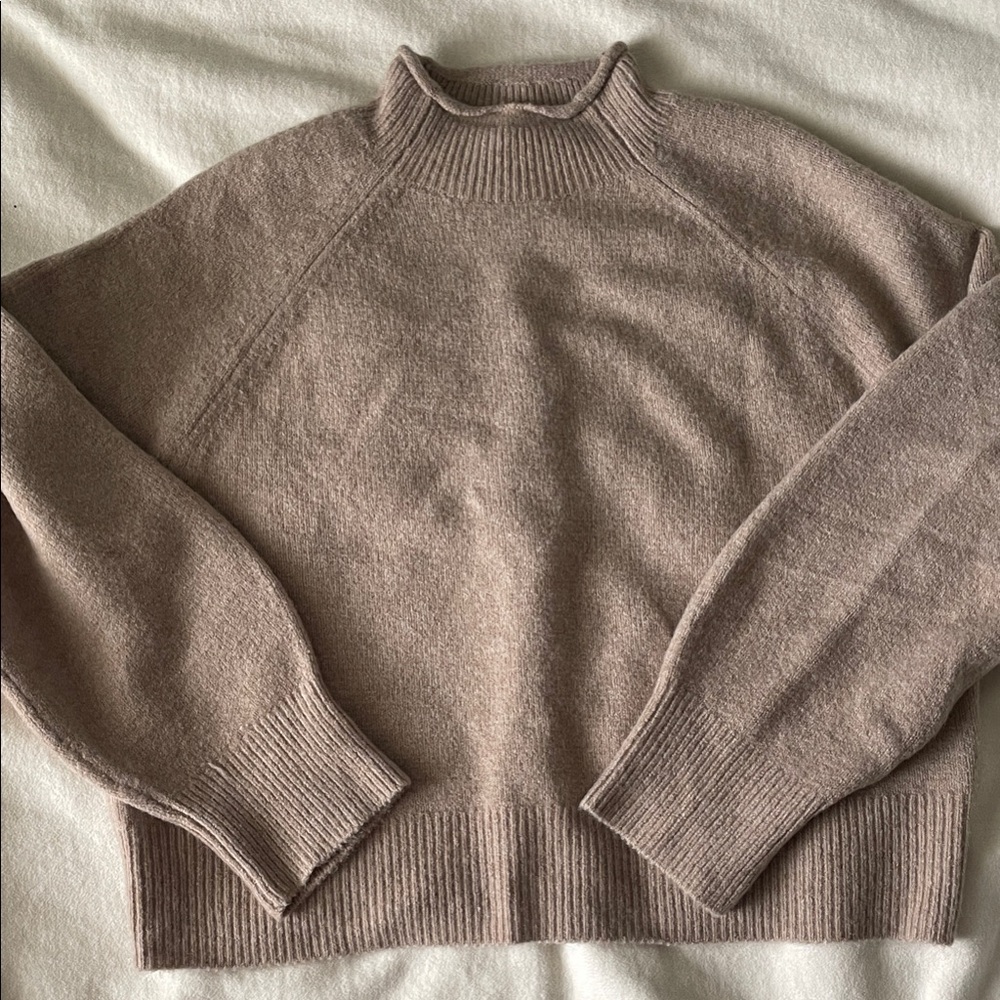 J. Crew Women's Roll Neck Sweater in Taupe